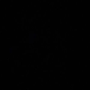 Meet your Posher, Danni